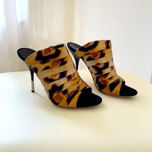 Giuseppe Zanotti